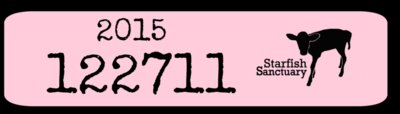 tag ear tee design pink