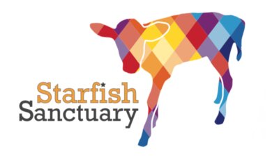 starfish logo 
