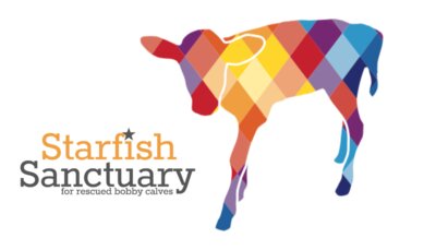 starfish logo calf logo orange and grey